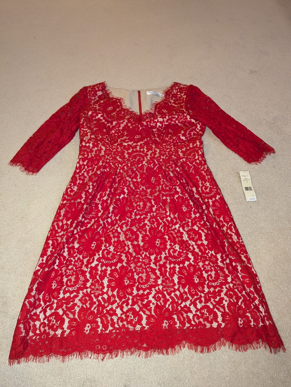 Nwt Eliza J Royal Collection Red Lace V-Neck Dress Sz 14